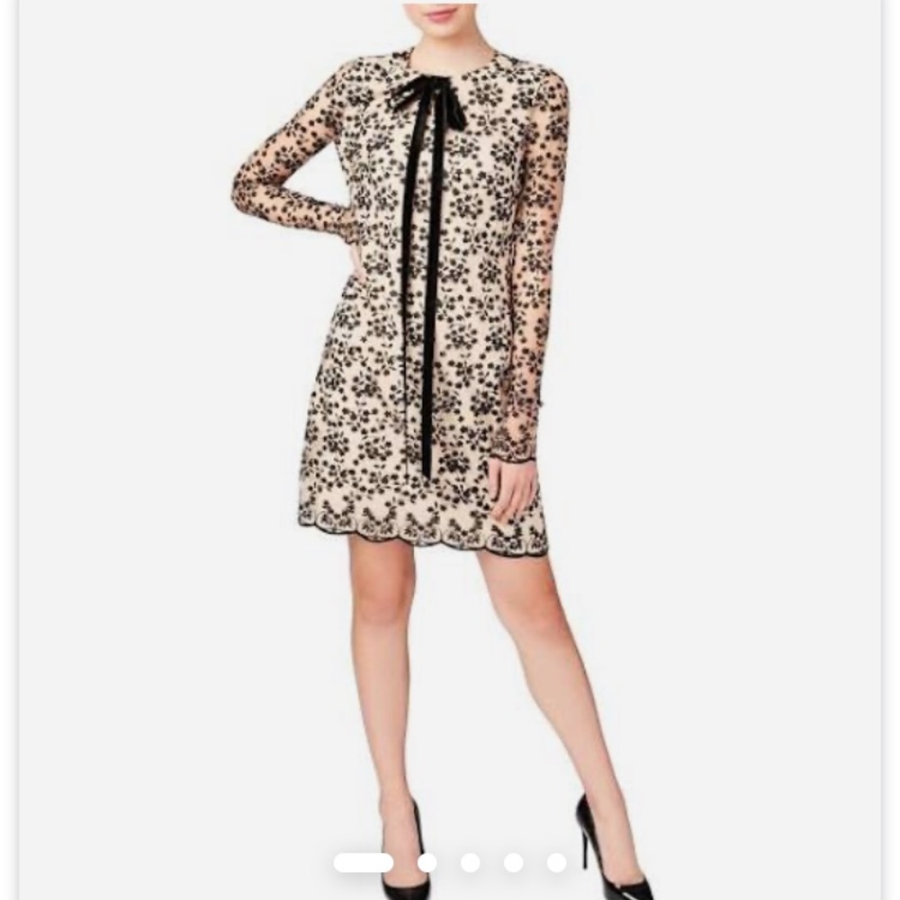 Betsy Johnson lace sheath dress